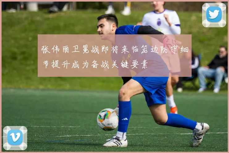 张伟丽卫冕战即将来临笼边防守细节提升成为备战关键要素