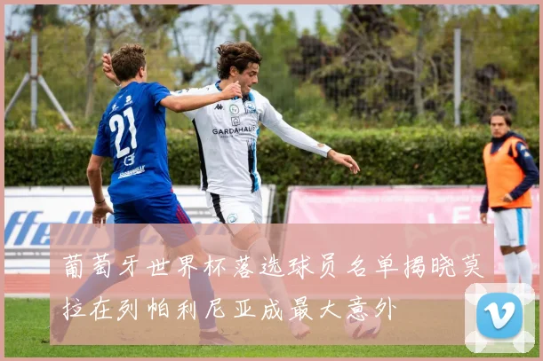 葡萄牙世界杯落选球员名单揭晓莫拉在列帕利尼亚成最大意外