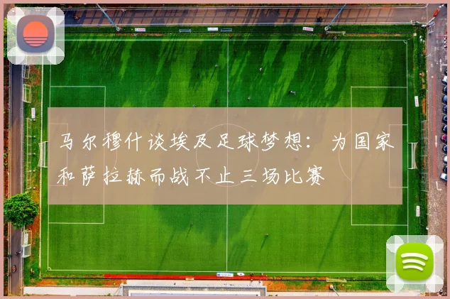 马尔穆什谈埃及足球梦想：为国家和萨拉赫而战不止三场比赛