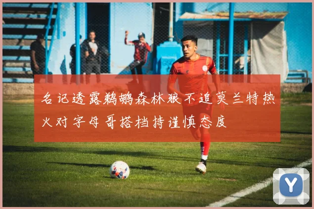 名记透露鹈鹕森林狼不追莫兰特热火对字母哥搭档持谨慎态度